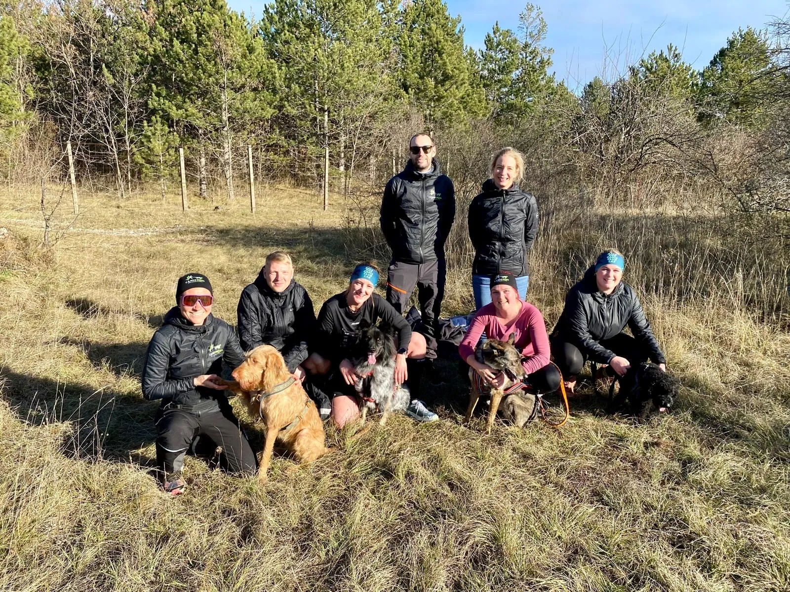 Canicross Gruppe auf Wiese in der Natur – Verein Canicross Oberösterreich
