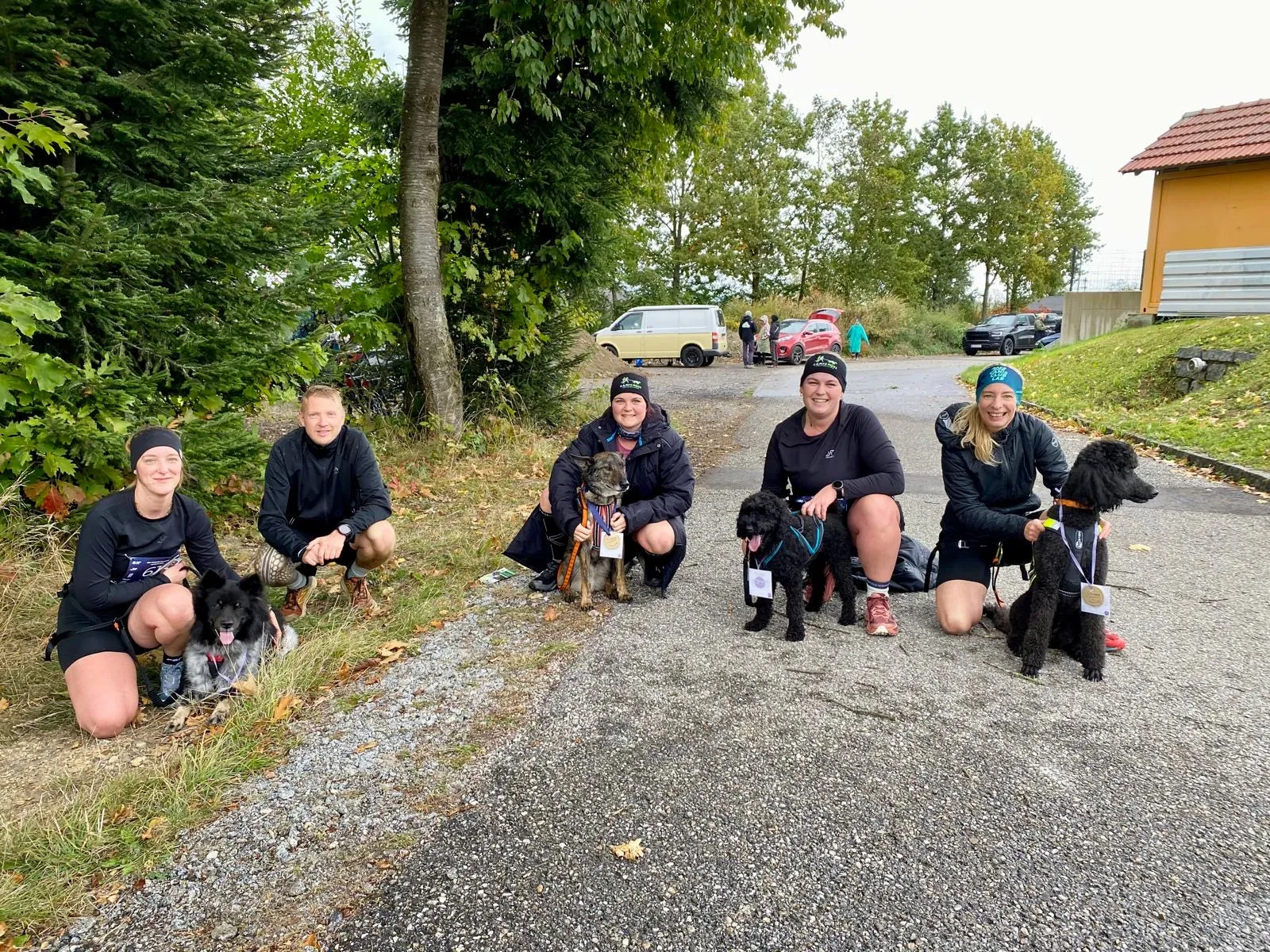 Canicross Lauftreff Gruppe mit Hunden in Oberösterreich