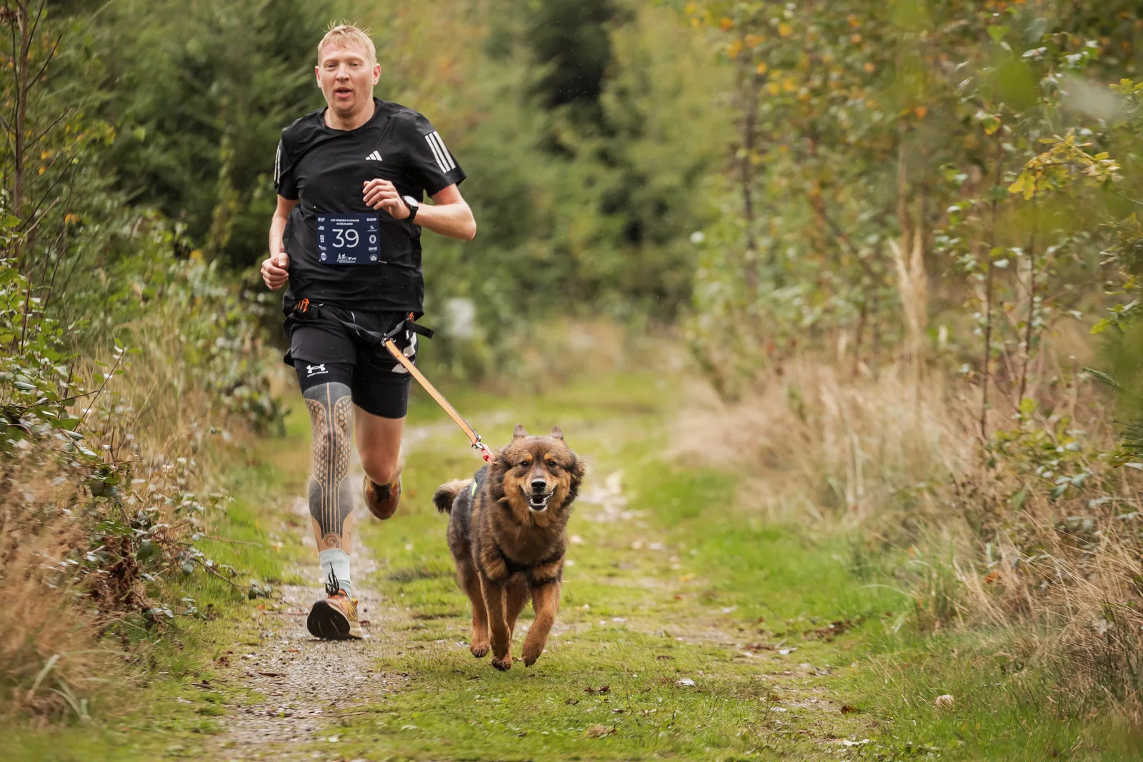 Canicross Lauftreff – Mensch-Hund-Team in Oberösterreich