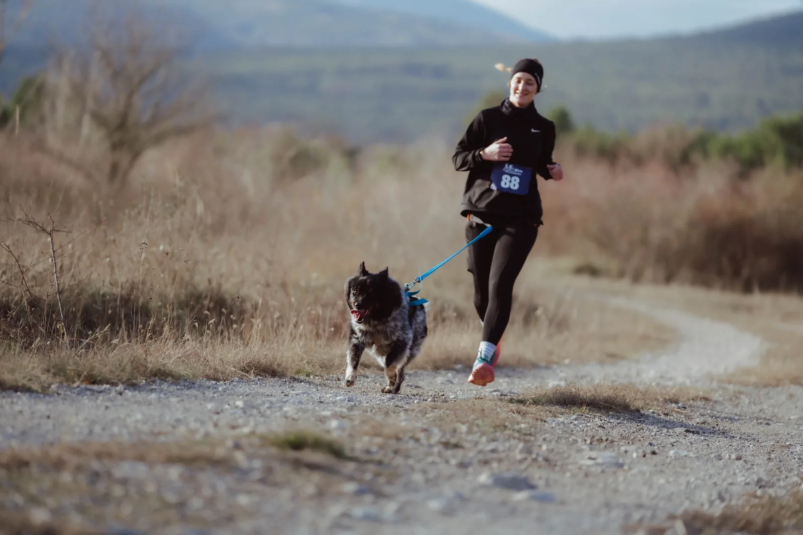 Canicross Lauftreff – Mensch-Hund-Team in Oberösterreich