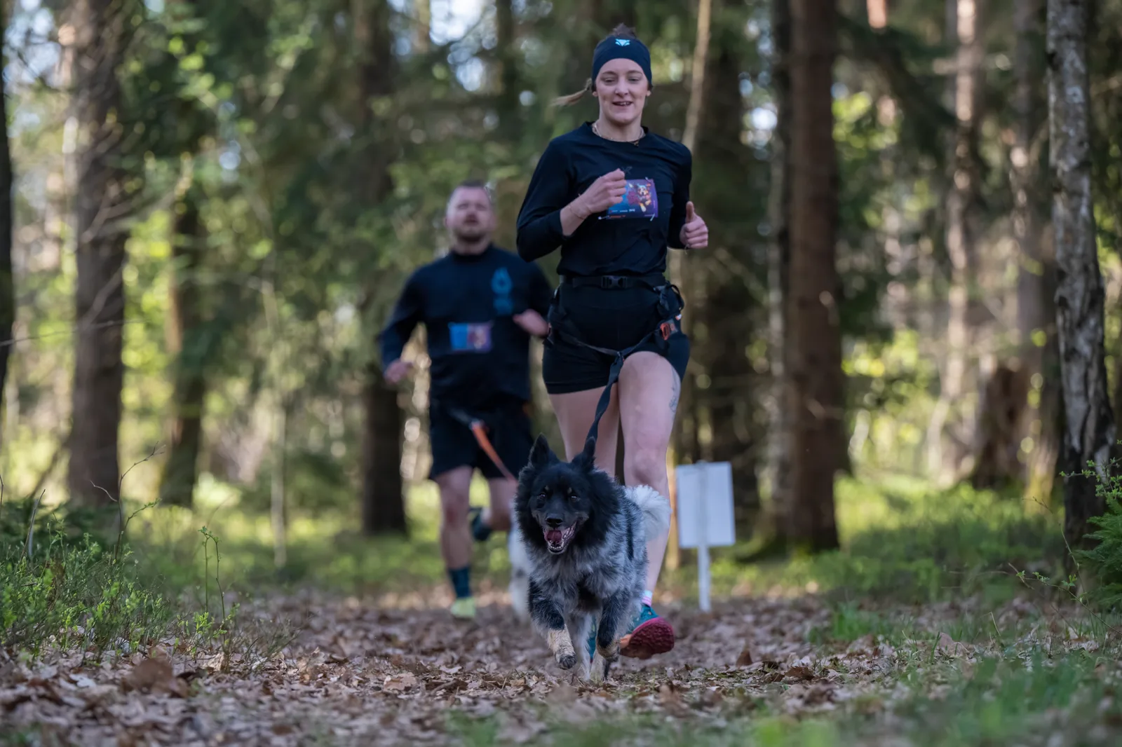 Canicross Lauftreff – Mensch-Hund-Team in Oberösterreich