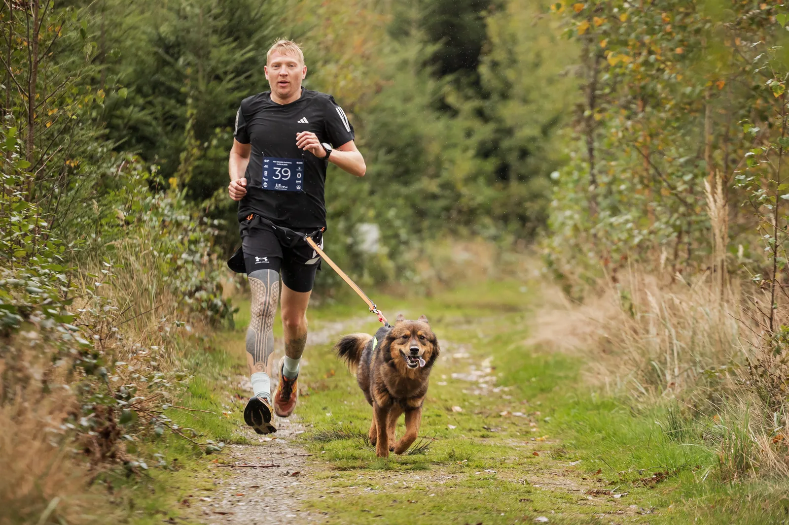 Canicross Lauftreff – Mensch-Hund-Team in Oberösterreich
