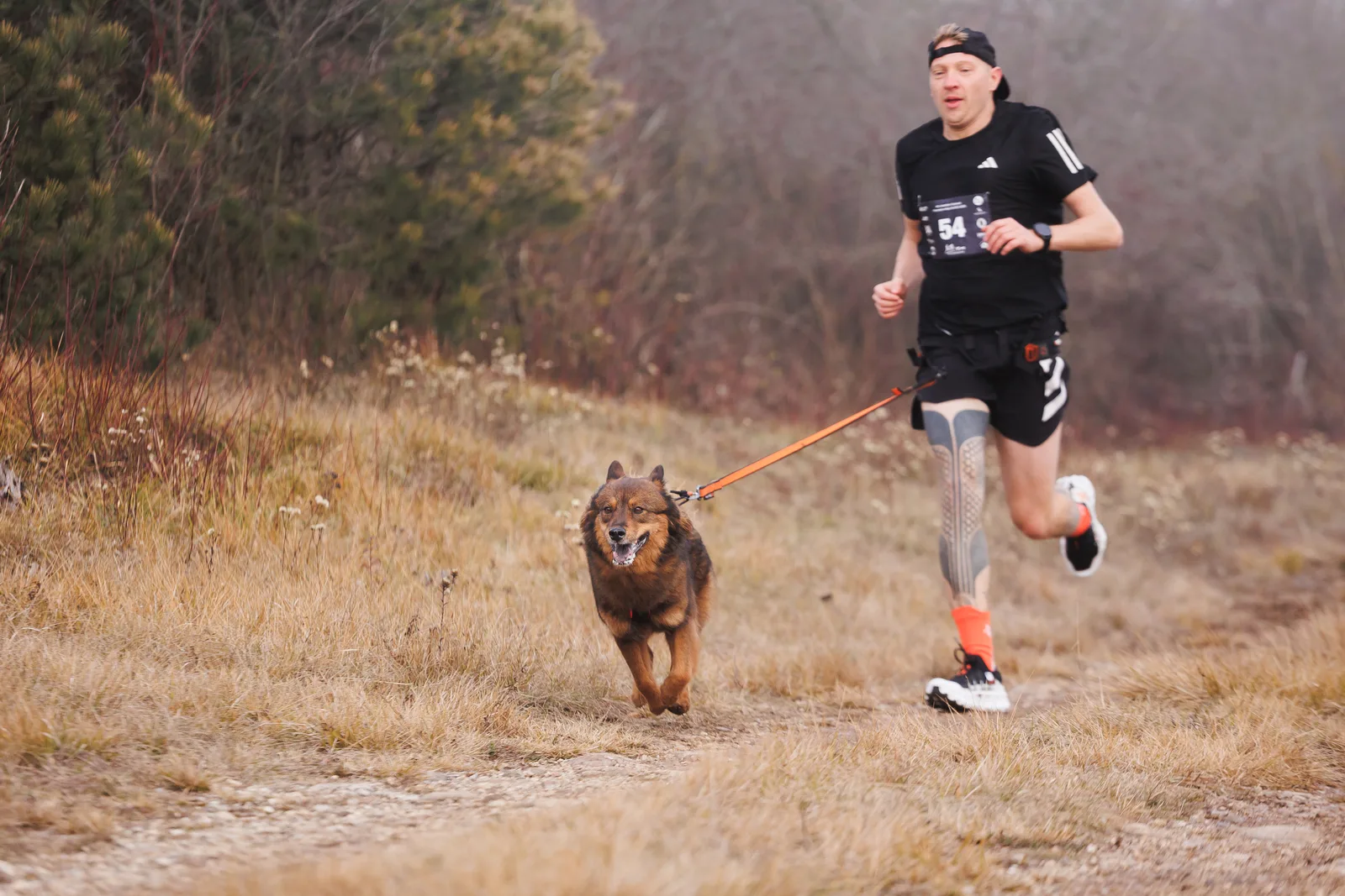 Canicross Lauftreff – Mensch-Hund-Team in Oberösterreich