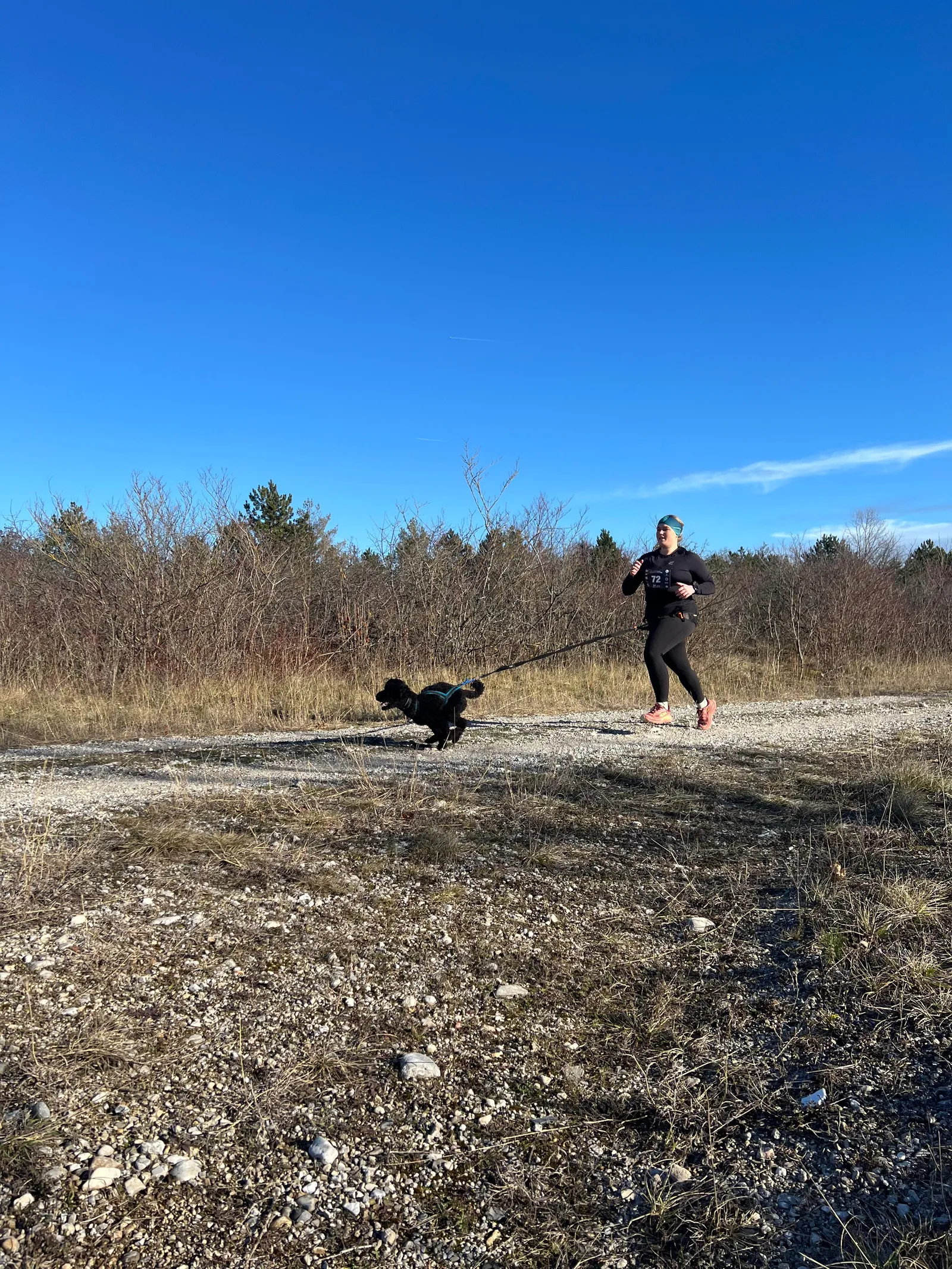 Canicross auf Schotterweg – Laufen mit Hund unter blauem Himmel
