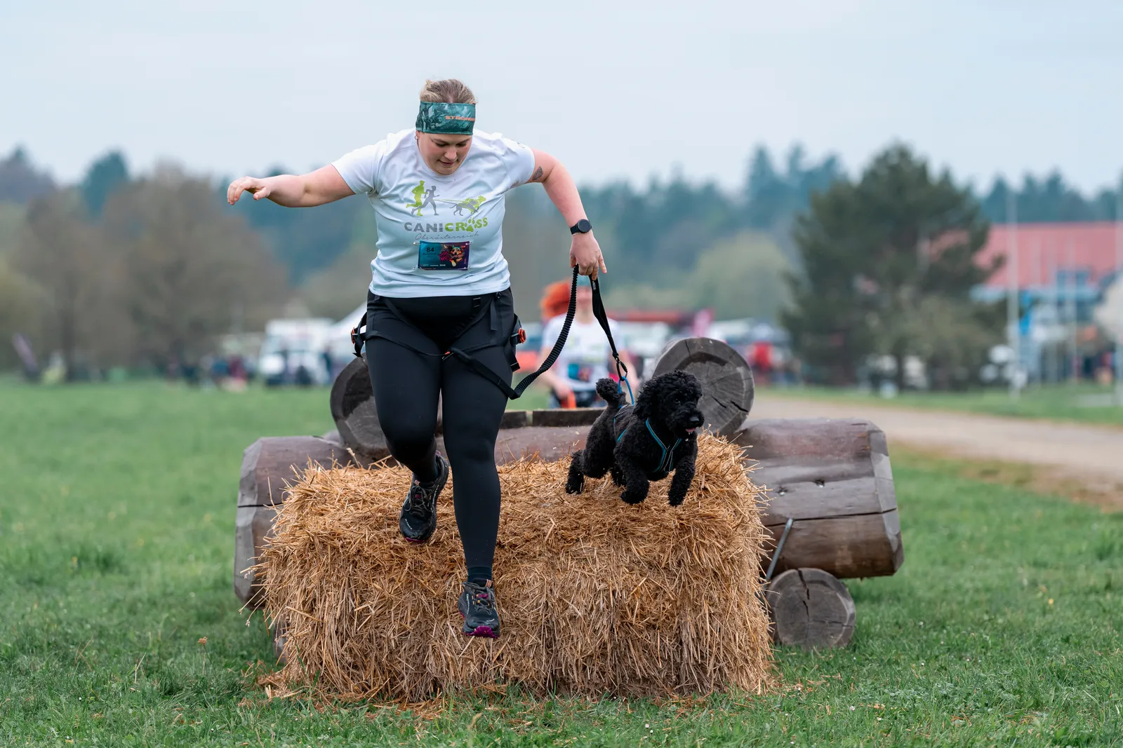 Canicross Sprung über Strohballen mit Hund – Hindernislauf