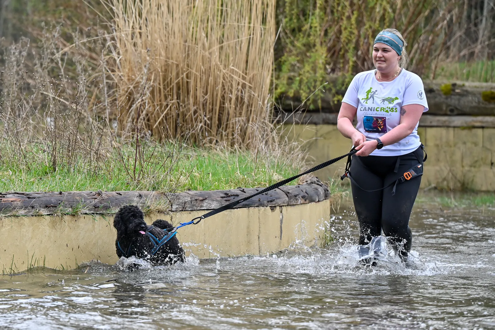 Canicross Strongman-Lauf – Wasserhindernis mit Hund