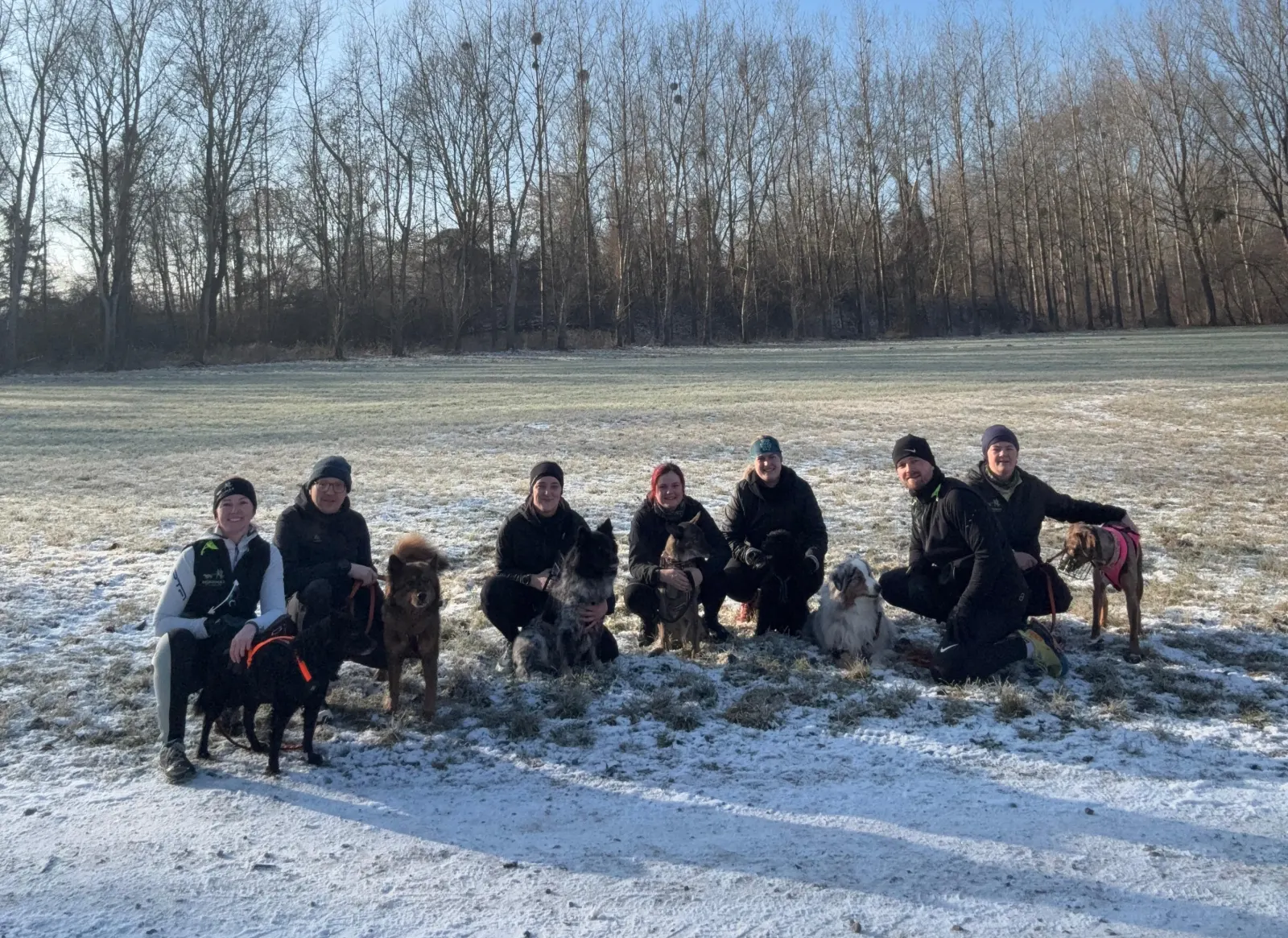Canicross Lauftruppe in der Natur – verschneite Wiese in Enns