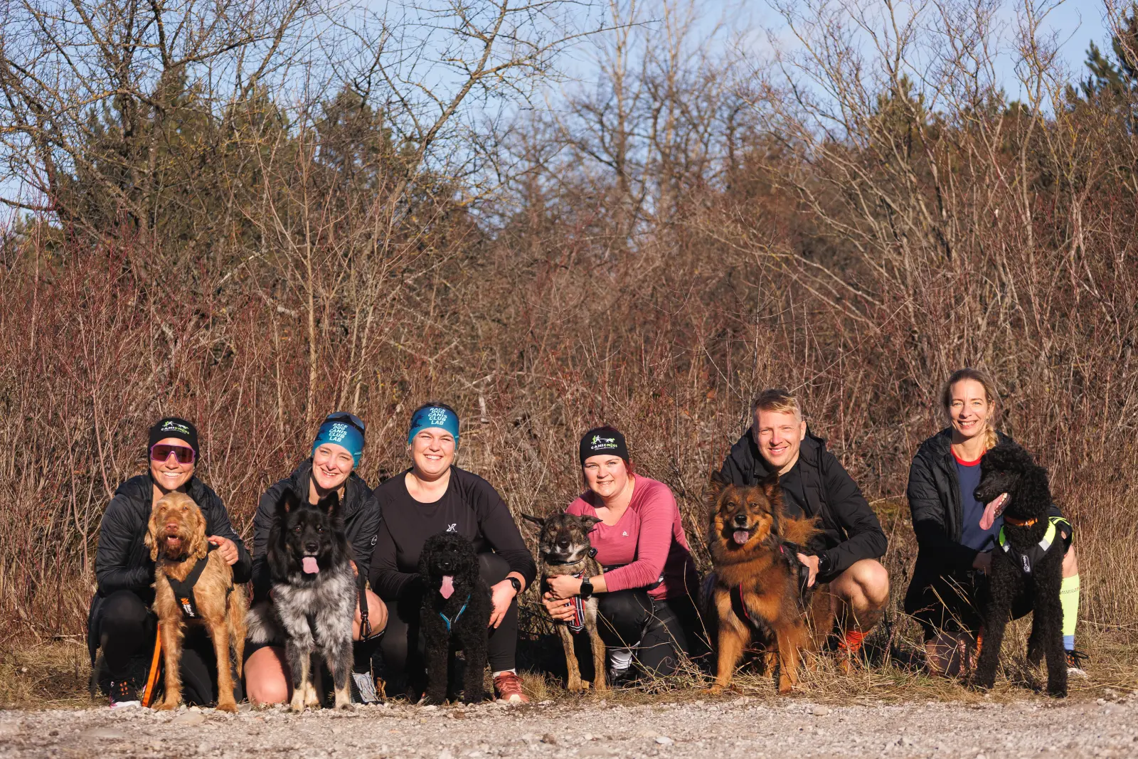 Canicross Team beim Strongman-Lauf in Oberösterreich