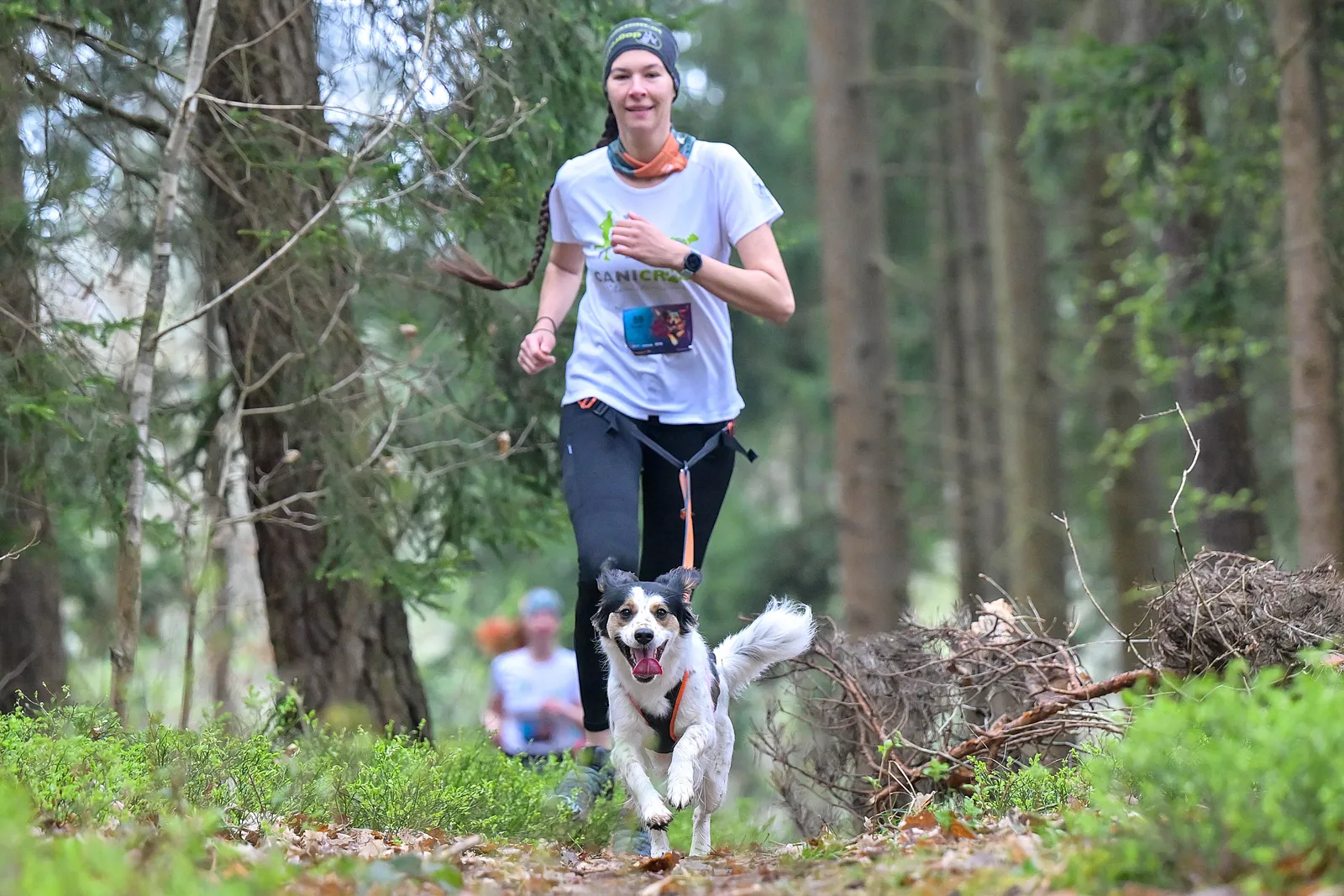 Canicross Waldlauf – Mensch-Hund-Team in Oberösterreich