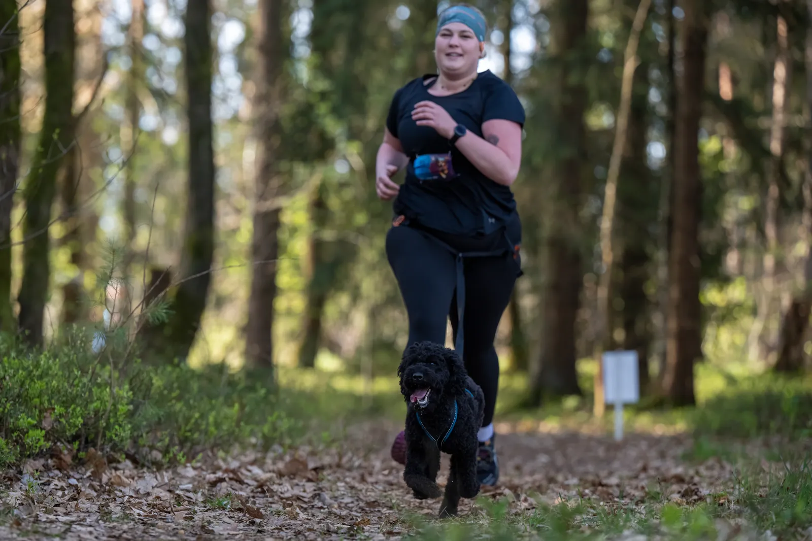 Canicross Waldweg – Laufen mit Hund in Oberösterreich