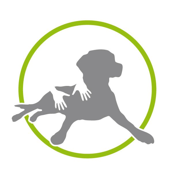 Hundemassage bei Dogrelation in Enns