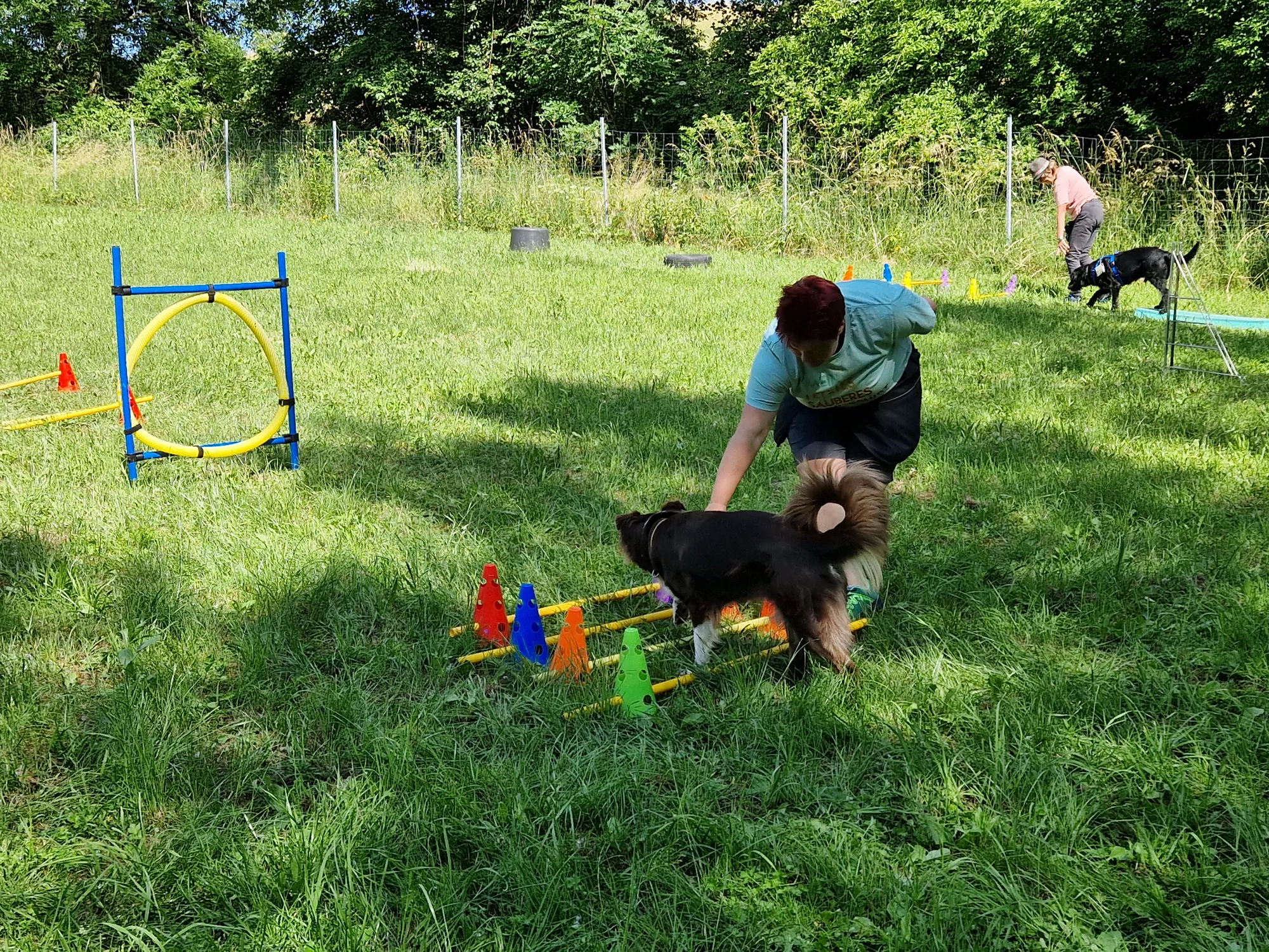 Trainerin arbeitet mit Aussie am Cavaletti – Hundetraining am Dogrelation Hundeplatz Steyr-Wolfern