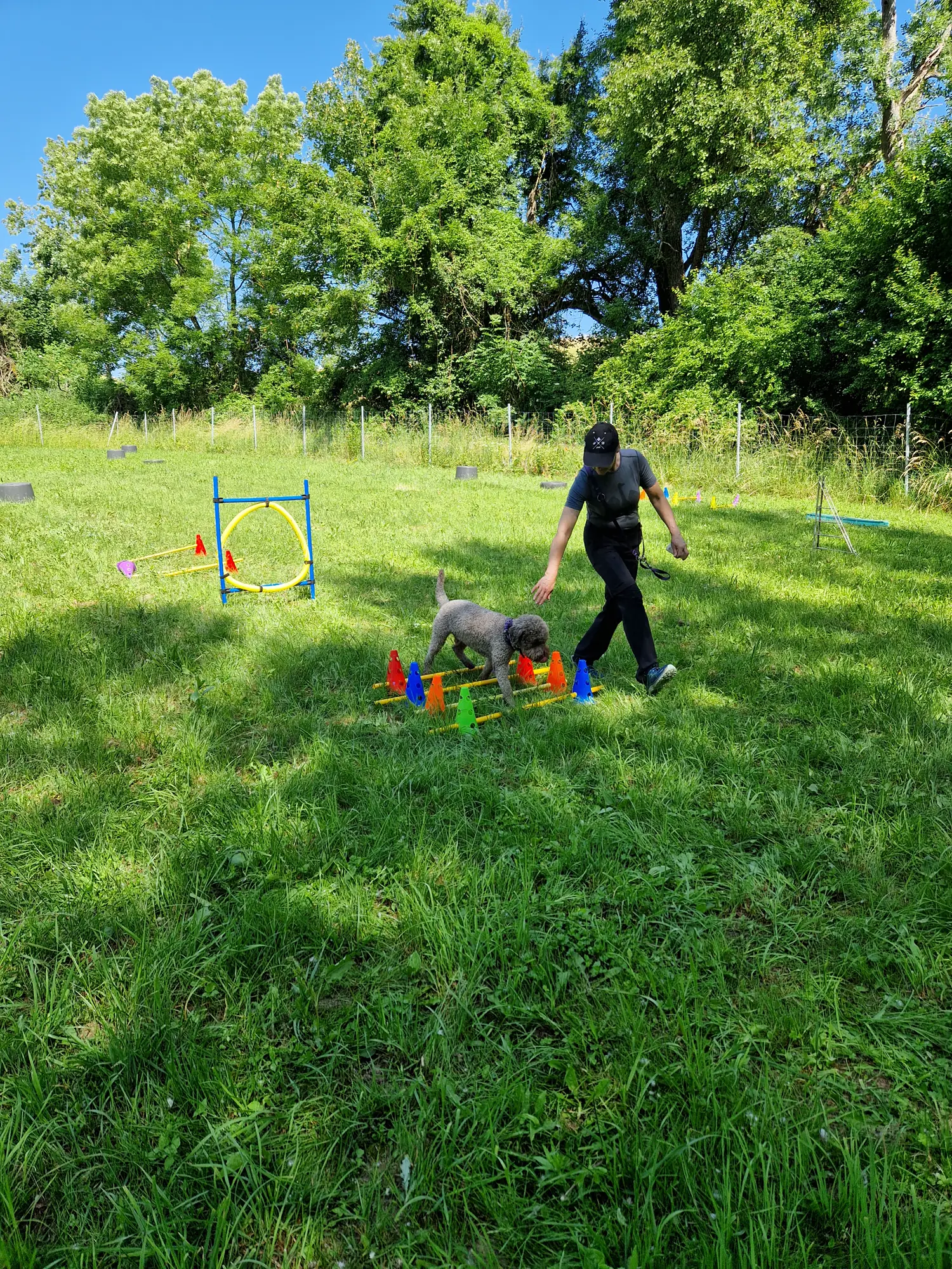 Trainer führt Hund durch den Slalom-Parcours am Dogrelation Hundeplatz in Steyr-Wolfern