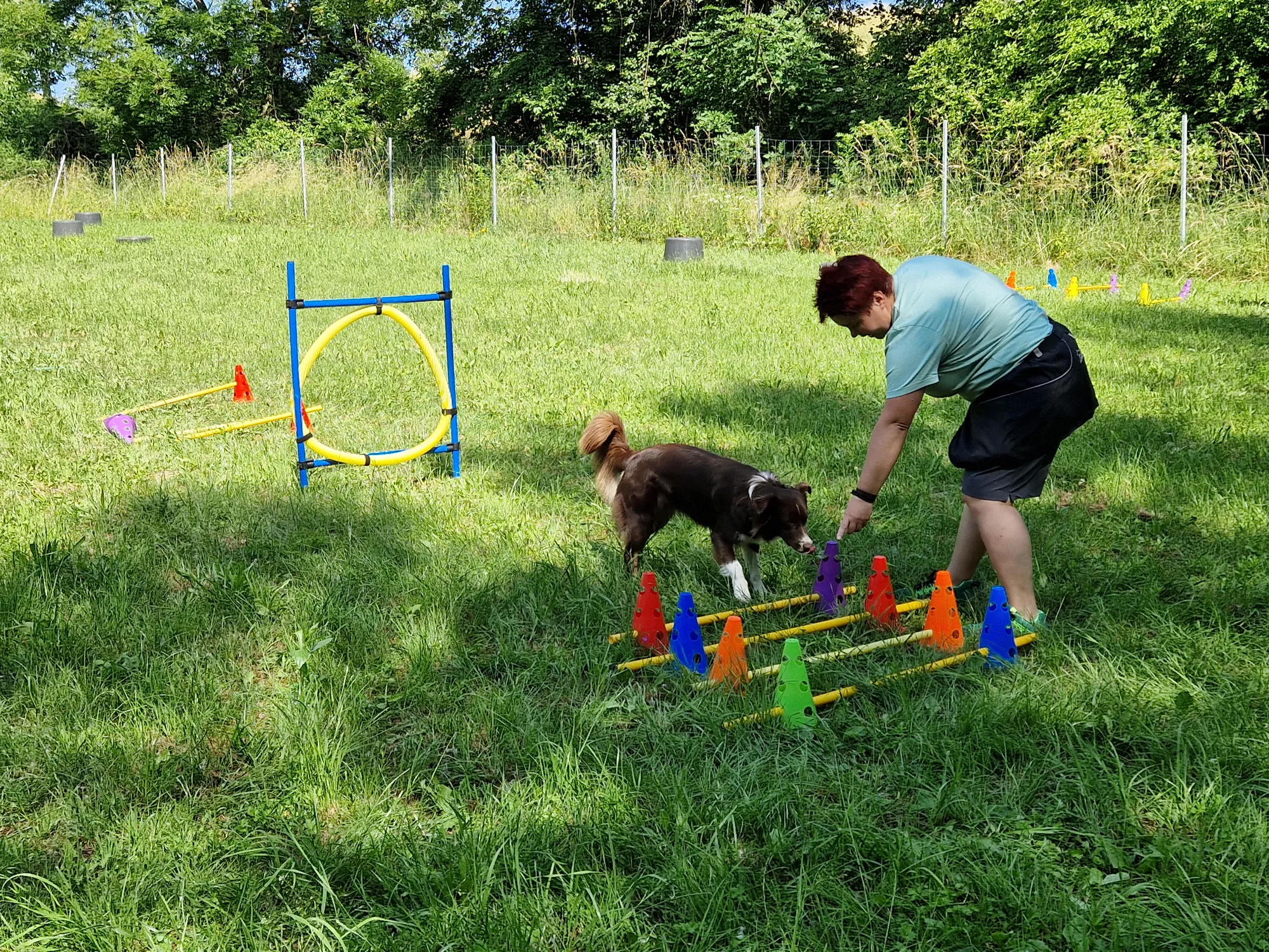 Trainerin arbeitet mit Aussie am Cavaletti-Hindernis – Hundetraining auf dem Dogrelation Hundeplatz