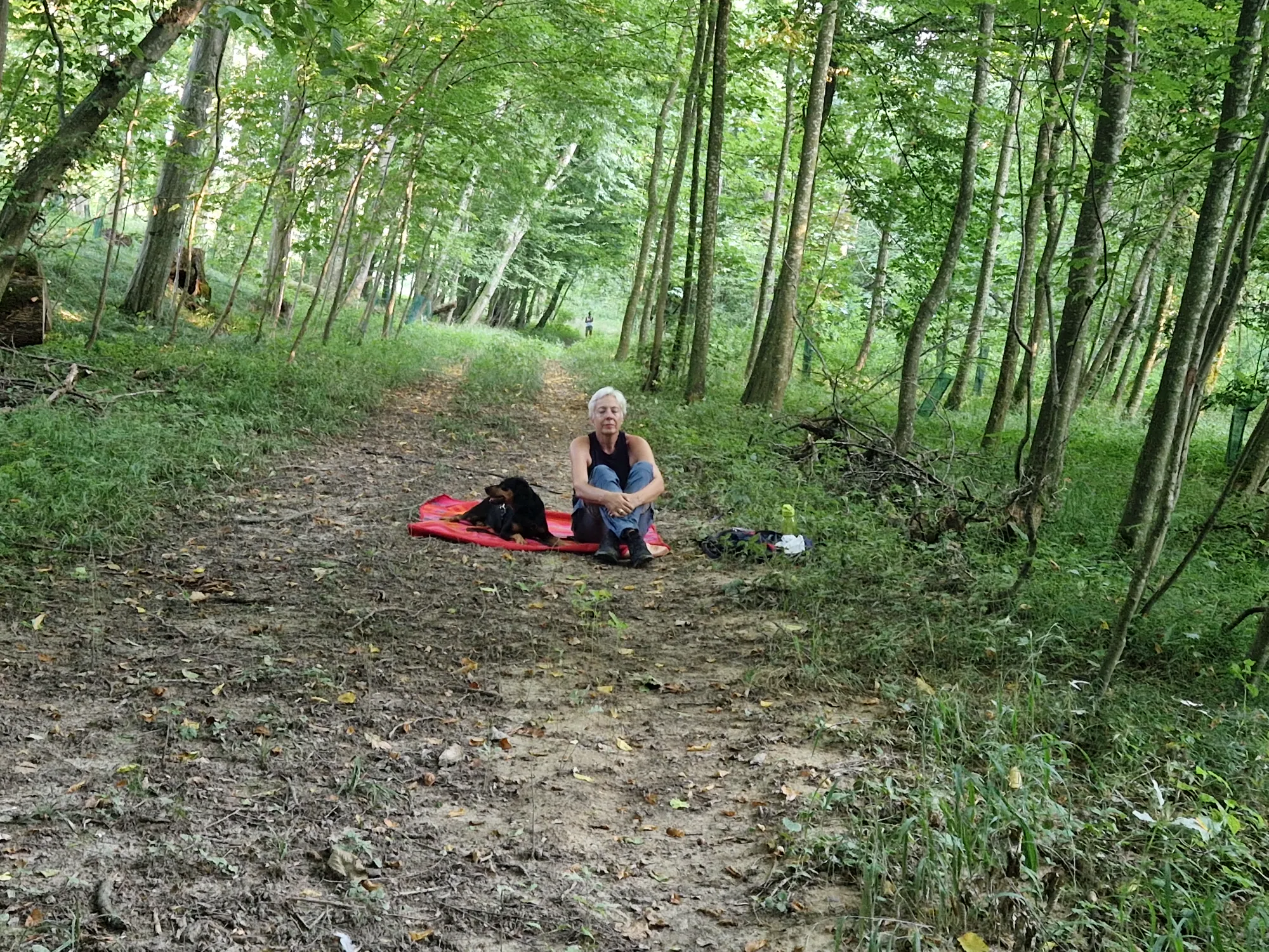 Mensch und Hund machen Pause auf rotem Tuch im Wald – Beziehungsmoment beim Hundetraining Dogrelation Enns