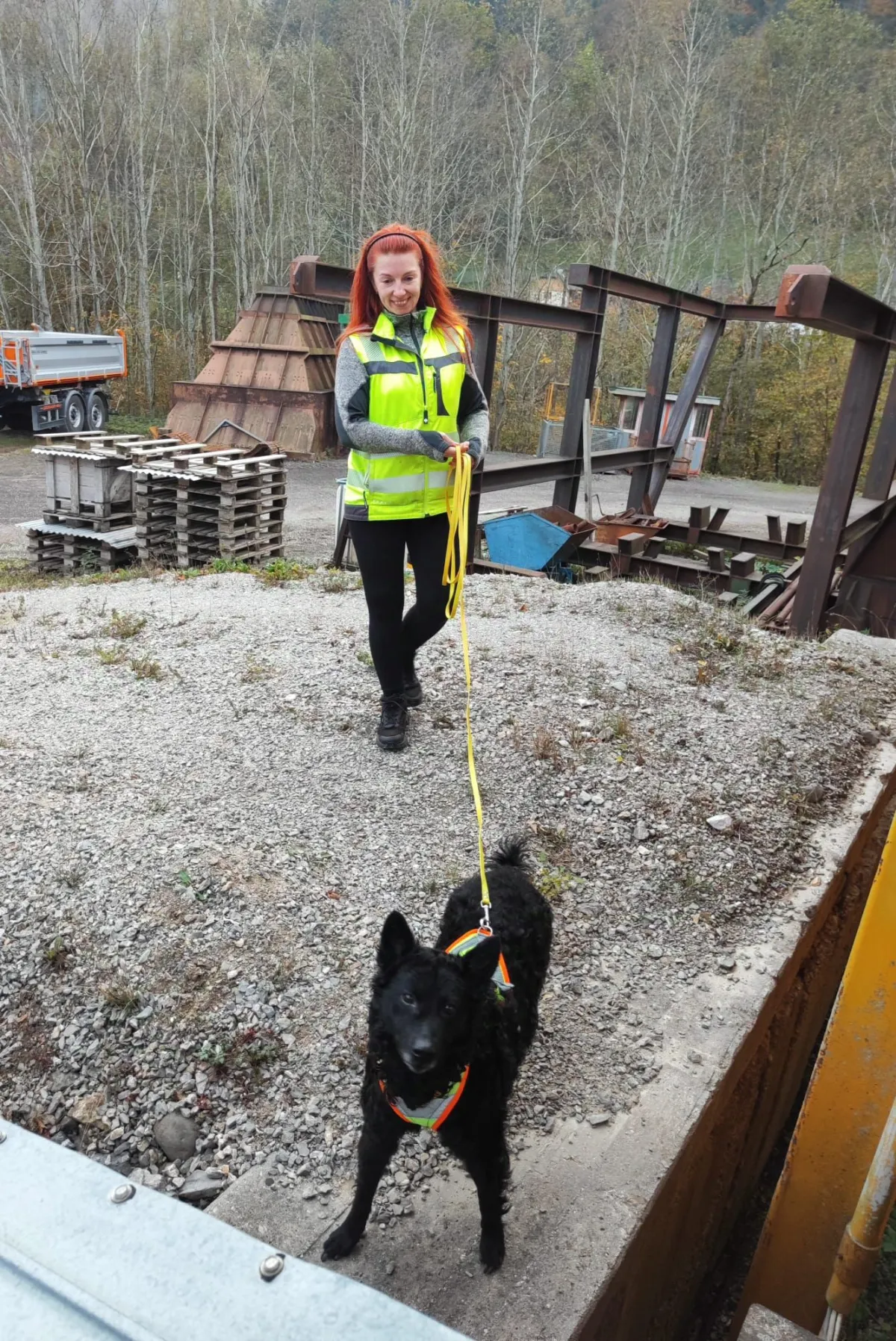 Mantrailing Einzeltraining – Trainerin in Sicherheitsweste mit schwarzem Hund an gelber Leine – Dogrelation Enns (Bild 14)