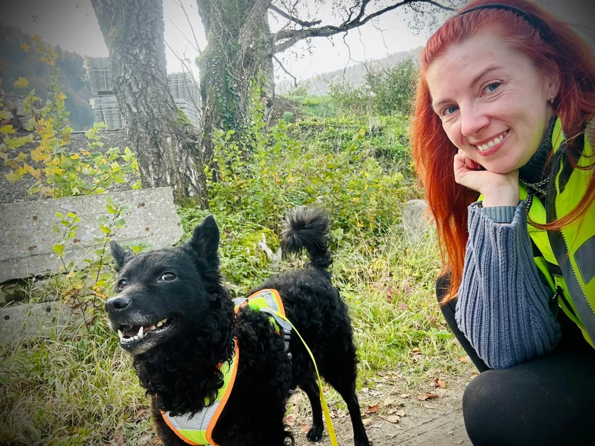 Mantrailing-Team – Trainerin mit schwarzem Hund im Sicherheitsgeschirr – Dogrelation Enns (Bild 24)