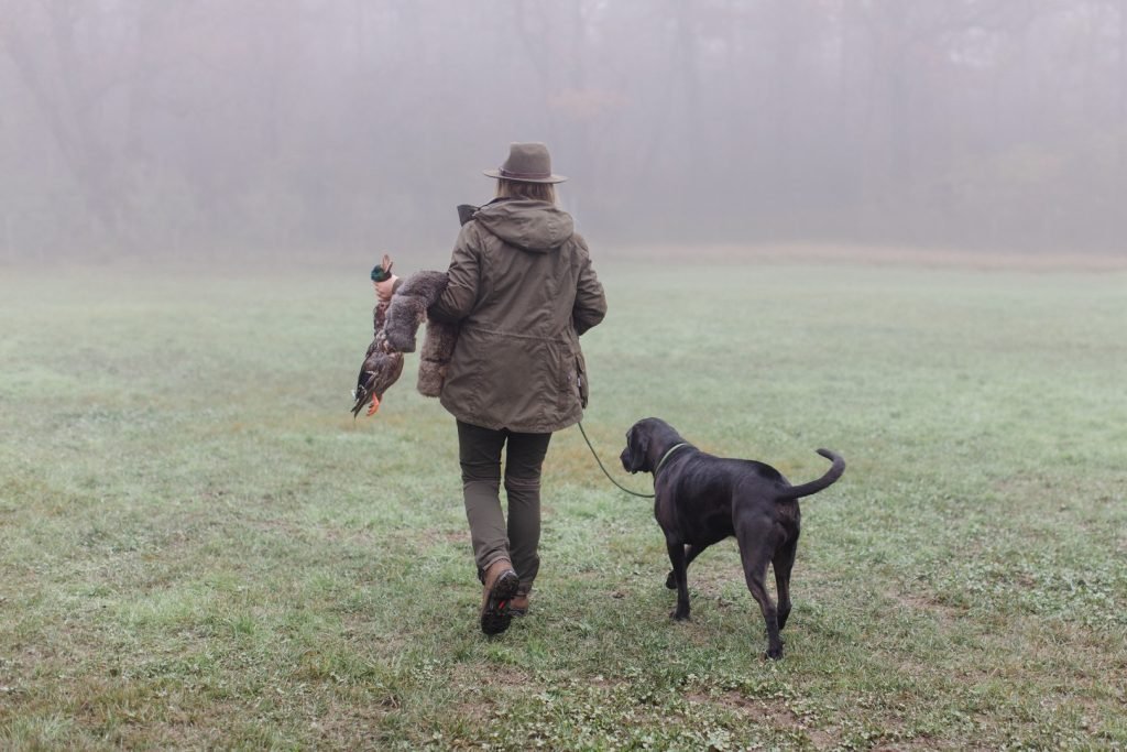 Nasenarbeit im Jagdhundtraining – Hundeschule Enns