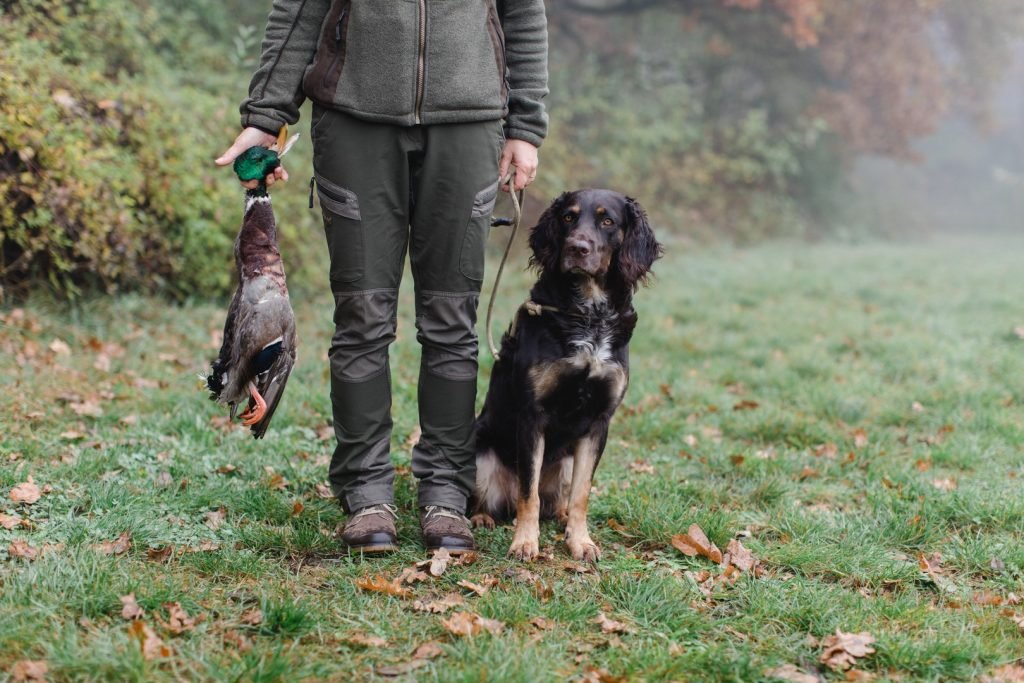 Outdoor Jagdhundausbildung in Oberösterreich