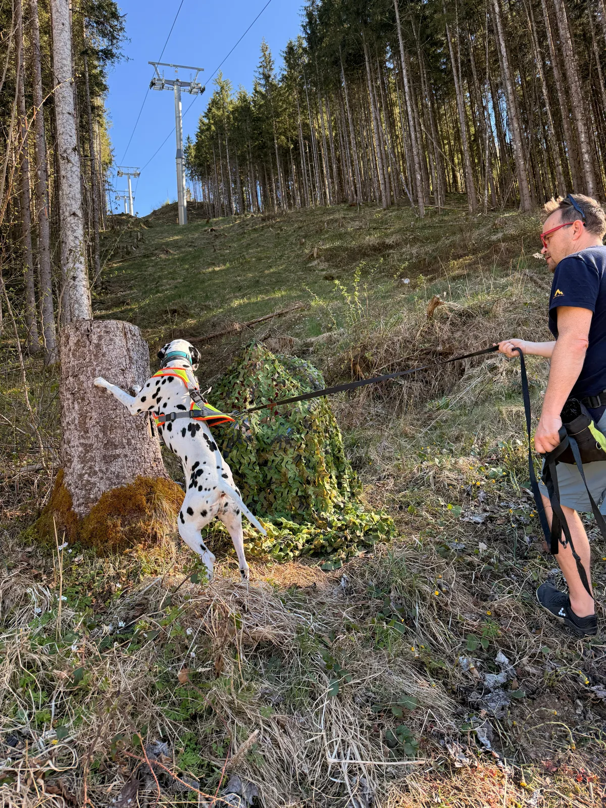 Mantrailing mit Hund – Nasenarbeit in Enns (Bild 3)