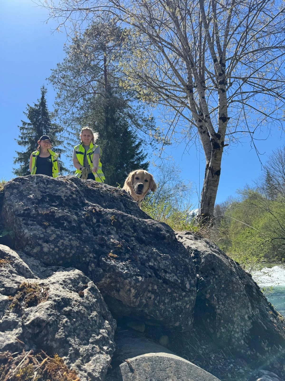 Mantrailing mit Hund – Nasenarbeit in Enns (Bild 5)