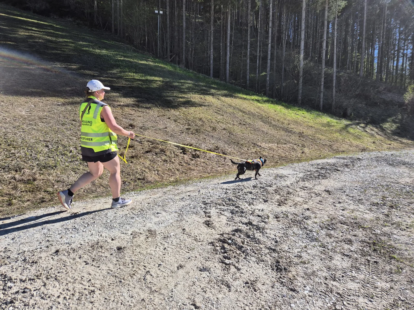 Mantrailing mit Hund – Nasenarbeit in Enns (Bild 7)