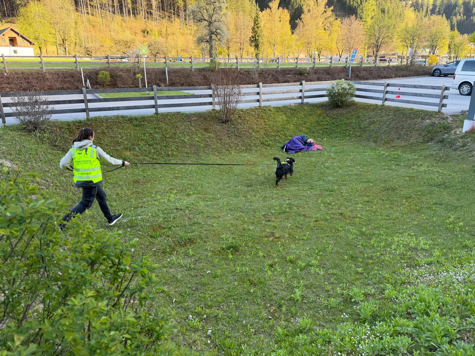 Mantrailing mit Hund – Nasenarbeit in Enns (Bild 8)