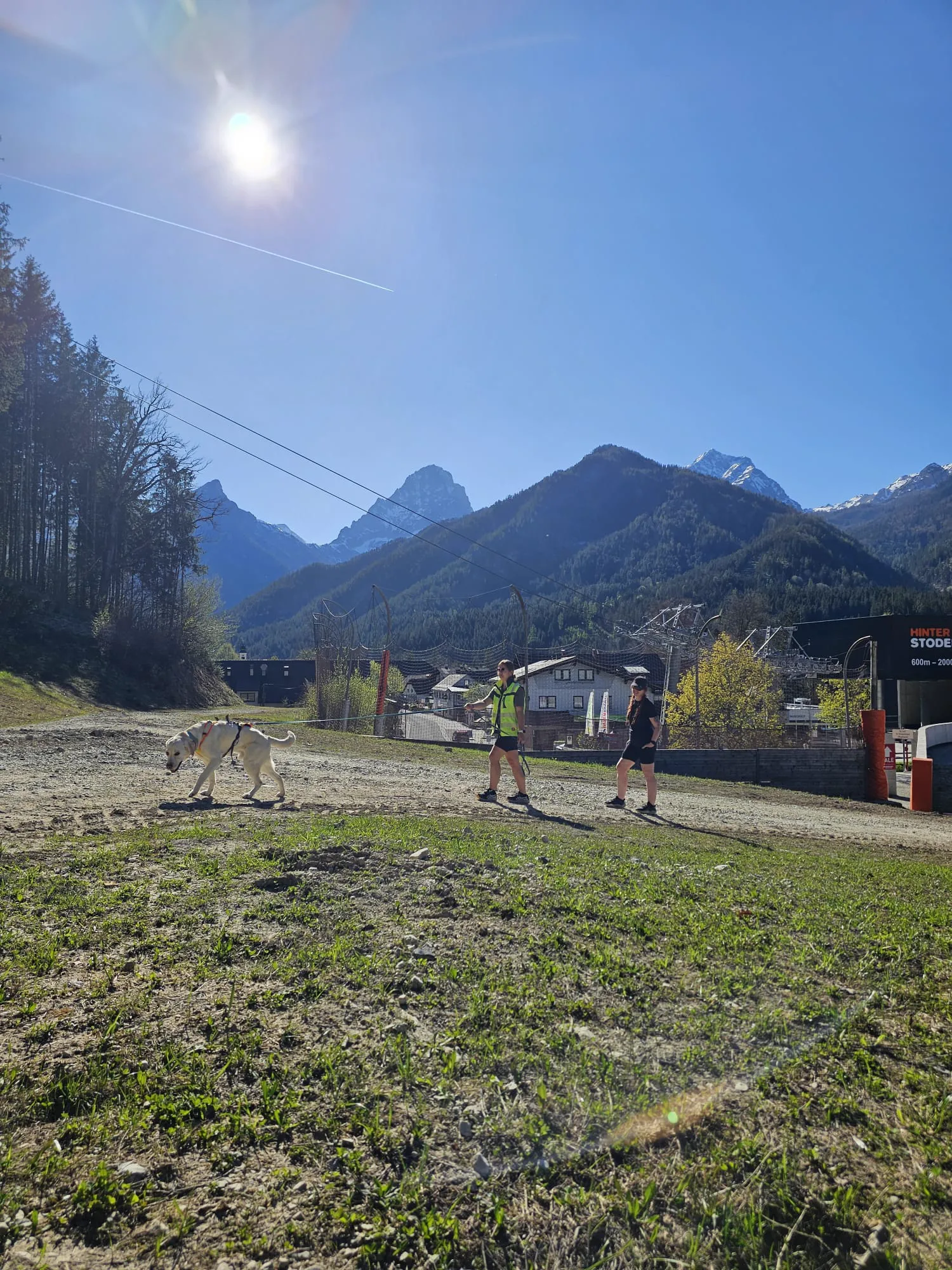 Mantrailing in der Natur – Team mit weißem Hund auf Wiese vor Bergpanorama – Dogrelation (Bild 20)