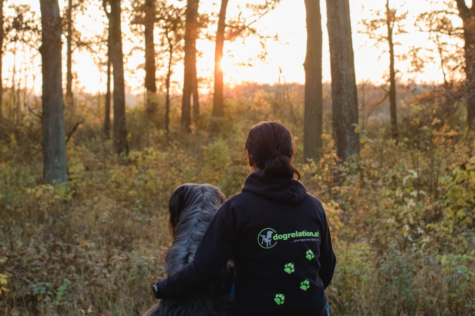 Mensch und Hund im Sonnenuntergang – Beziehung statt Gehorsam, Hundetraining bei Dogrelation in Enns